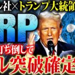 【リップル(XRP)】1ドル突破までのカウントダウン！トランプ大統領と協力で打倒SEC！バブル相場での立ち回りを徹底解説【仮想通貨】