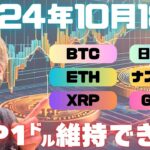 リップルXRPようやく1ドルに回帰！長かった・・果たして維持できるのか！？【投資VLOG】