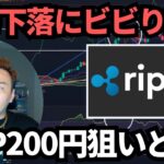 【XRP】リップル200円は狙いどきでしょ！下落にビビるならロマンは買えないよ！