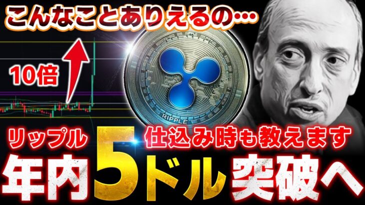 【XRP急騰！】2025年の勝者は間違いなく投資の仕方で決まる！ 【仮想通貨・ビットコイン相場分析】