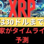 専門家はXRPが5ドルから30ドルに上昇するタイムラインを予測しています。- BTC XRP #xrp #リップル #xrp リップル