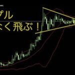XRPはレンジを燃料として再上昇する！ALGOとビットコインの相場を分析しました。2024年11月21日17時