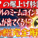 【XRPの爆上げ秒読み！】リップルのミームコイン発行で億り人が出てくる！？仮想通貨バブルに乗り遅れるな！【仮想通貨】【BTC】【ビットコイン】【SHIB】