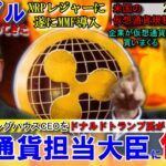 リップル(XRP)のガーリングハウスCEOが仮想通貨担当大臣に!?XRPレジャーにMMFが導入され革命を起こす！ブロックチェーンが世界を変える！