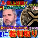 リップル(XRP)SEC遂に裁判を取り下げか⁉年内XRPは3ドルになる可能性大！リップル社がETPに投資！金融に革命を起こす！爆上げは続く！