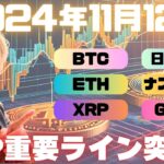 リップルXRPさん、ついに重要ラインを超えましたか！？【投資VLOG】