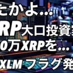 ビットコイン下落中にXRPXLMフラグ発生！リップル大口投資家が3100万XRPを…