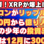 【XRPが爆上げ間近！】イーロンマスクが動く！Xの決済通貨にXRPが選ばれる！【仮想通貨】【BTC】【ビットコイン】【SHIB】【リップル】