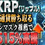 リップル最新！イーロンマスクがX決済通貨を発表！？最強の自動ツールをプレゼント！【仮想通貨】【シバコイン】【イーロンマスク】【ビットコイン】【SHIB】【XRP】【DOGE】【リップル】