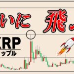 リップルの利確ポイントと爆益を出すための注意点をシェアします【ビットコイン】