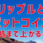 🔥リップルとビットコインの上げ止まりを中長期目線で分析してみました🔥