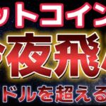 ビットコイン今夜ぶっ飛ぶ可能性あり！！ある指標が２０万ドル超えを示唆！？