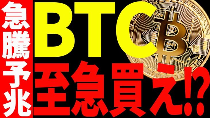 【仮想通貨】ビットコインよりも今は〇〇が買い⁉︎今後の爆上げに乗り遅れるな！