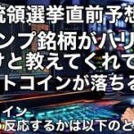 ビットコイン米大統領選挙直前予想　ドナルド・トランプ銘柄がカマラ・ハリスが負けると教えてくれたしかしビットコインは下落する