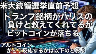 ビットコイン米大統領選挙直前予想　ドナルド・トランプ銘柄がカマラ・ハリスが負けると教えてくれたしかしビットコインは下落する