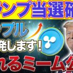 リップルは今後トランプ政策により爆上げします