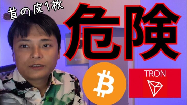 ビットコイン 首の皮1枚で危険、押し目買いチャンス来る？【仮想通貨 暗号資産 暗号通貨 BTC ETH XRP SOL TRX SHIB KASPA HYPE 他】