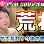 【乱高下】ビットコイン・約10,000ドル幅の下落！欲の皮が突っ張った投資家が一掃されました！1月までは緩やかな上昇へ？【最新の仮想通貨分析を公開】
