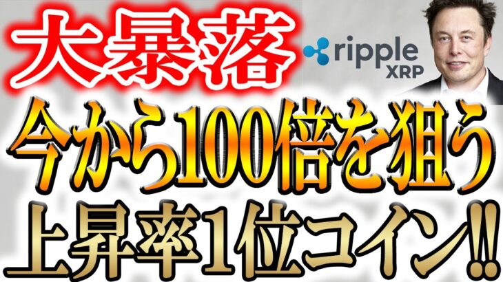 【※今が買い時!!】本気で100倍を狙うならリップル一択!!【XRP/solaxy/pepejuice】