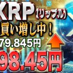 リップル10倍！クジラ大暴れで仮想通貨バブル第２波！クリスマススペシャルキャンペーン実施中！【仮想通貨】【シバコイン】【イーロンマスク】【ビットコイン】【SHIB】【XRP】【DOGE】【リップル】