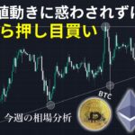 目先の値動きに惑わされずにひたすら押し目買い | ビットコイン・イーサリアム・ソラナの今週の相場分析とトレード戦略【12/15～12/22】【仮想通貨】