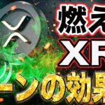 【12月16日速報】ぶっちゃけXRPのバーンは〇〇。BTC史上最高値更新でまたまたアルトコインのターンへ!!XRPチャート分析&最新情報【リップル】【ビットコイン】【仮想通貨】【相場分析】