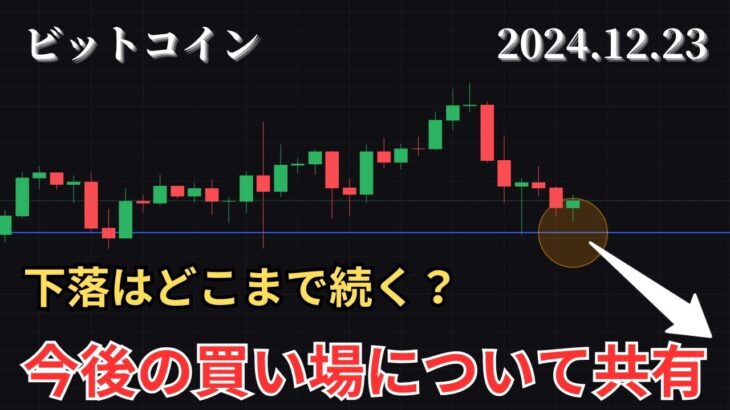 12/23 仮想通貨相場分析 続落？反発？見極めるべき価格帯について