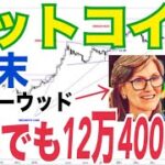 【ビットコイン価格目標】年末12万4000ドル越えか！？BTC10万ドルは100万ドルに向け「初期段階」