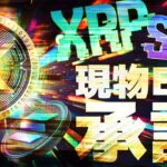 【12月4日速報】XRPとSOLの現物ETFに承認迫る!!史上最高値更新に備えよ!!【リップル】【ソラナ】【BTC】【ビットコイン】【仮想通貨】【最新情報】【相場分析】