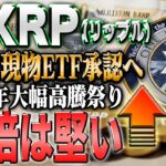 リップル最新！年内最後の大勝負で13倍か！２倍確定の最強ミームコイン紹介！【仮想通貨】【シバコイン】【イーロンマスク】【ビットコイン】【SHIB】【XRP】【DOGE】【リップル】