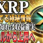 リップル最新！2.3ドル反発で上昇へ『CryptoAllStars』プレセール終了間近【ビットコイン】【イーサリアム】【シバコイン】【shib】【ドージ】【リップル】【doge】【仮想通貨】【xrp】