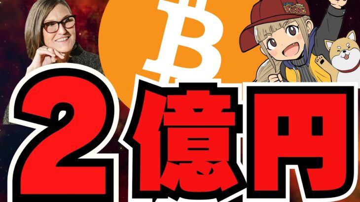 【🔥億り人】ビットコイン2.3億円！上昇フェーズをつかめ／XRPにイーロンマスクが言及／メタプラネットに黄色信号説？今後どうするべき？／来年はAIエージェントバブル！