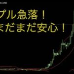 エイダコイン急落！リップル・アルゴランドの相場を分析しました。2024年12月10日17時