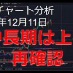 2024年12月11日ビットコイン相場分析