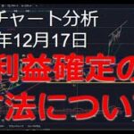 2024年12月17日ビットコイン相場分析