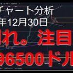 2024年12月30日ビットコイン相場分析