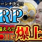 【リップル2025年100ドル到達‼️】※RLUSD承認は上昇の前兆※イーロン言及のX決済銘柄発覚 #web3  #crypto  #cryptocurrency  #仮想通貨  #xrp