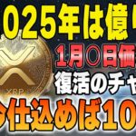 【リップル最新情報】年末年始の動向は？2025年に100倍を狙えるコイン！【仮想通貨】【XRP】【BTC】【ビットコイン】【SHIB】【ドージ】【仮想通貨女子】【シバコイン】