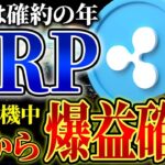 ※リップル2025年覚醒※リップル社が業界最高額の500万ドル分のXRPをあの人に渡した！爆上げ間近！ #crypto #xrp #ripple