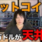 ビットコインは今が天井説！2025年は下落相場になるか、それとも最高値更新でバブル継続か？BTCとアルトの相場分析と買い時について。