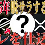 【2025年脱サラ銘柄】コレを仕込めば間違いない。【SHIB】【リップル】【ステラルーメン】