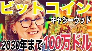 【ビットコイン】2030年まで100万ドル到達の可能性！？2025年に仮想通貨税制が雑所得から申告分離課税20%大きな一歩！