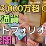 【初見せ】資産3,000万超のワタシの仮想通貨ポートフォリオは、こんな感じ♪