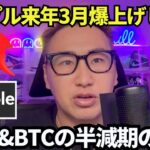 リップル来年3月に爆上げ！XRP&BTC半減期の歴史を解説してチャート分析！