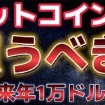 ビットコイン今買うべきなのか？？イーサリアム来年5月に１５０００ドルに達する！？