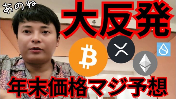 ビットコイン大反発なぜ？年末価格をマジ予想します。【仮想通貨 暗号通貨 暗号資産 BTC ETH XRP SOL SUI他】