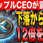 【リップル最新情報】リップルCEOが発表！XRPに再び高騰のチャンス！【ビットコイン】【リップル】【シバコイン】【ドージコイン】【XRP】【SHIB】【DOGE】【Bitcoin】【Ripple】