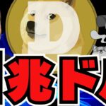 【🔥ドージコイン上昇】イーロン効果！バブルでDOGE爆億？／XRPも上昇！イーサにも注目／PEPE史上最高値更新／魔界大冒険でおもろい熊発見！