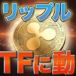 リップル暴落について、そしてETFの超重大進展！！！