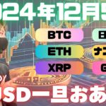 RLUSDの本日発売は見送り。リップルXRPへの影響は！？まあクリプト業界ではよくあることだと思います・・【投資VLOG】